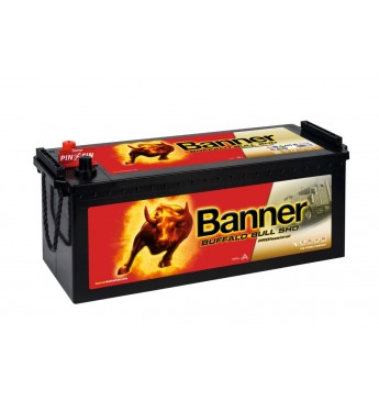 Banner Buffalo PRO 145 Ah 12V 800A akumuliatorius 514x189x195/220mm  