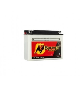 Banner 20Ah Bike Bull -+ 12V 220A akumuliatorius 205x90x162mm  