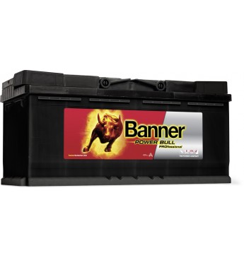 Battery Banner 100 Ah Power Bull PRO