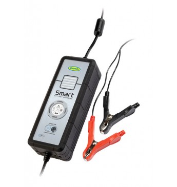 Automatinis įkroviklis RING 5A 12V  